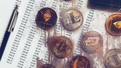 أيهما أفضل حالياً، شراء بيتكوين Bitcoin أم عملات مشفرة بديلة؟